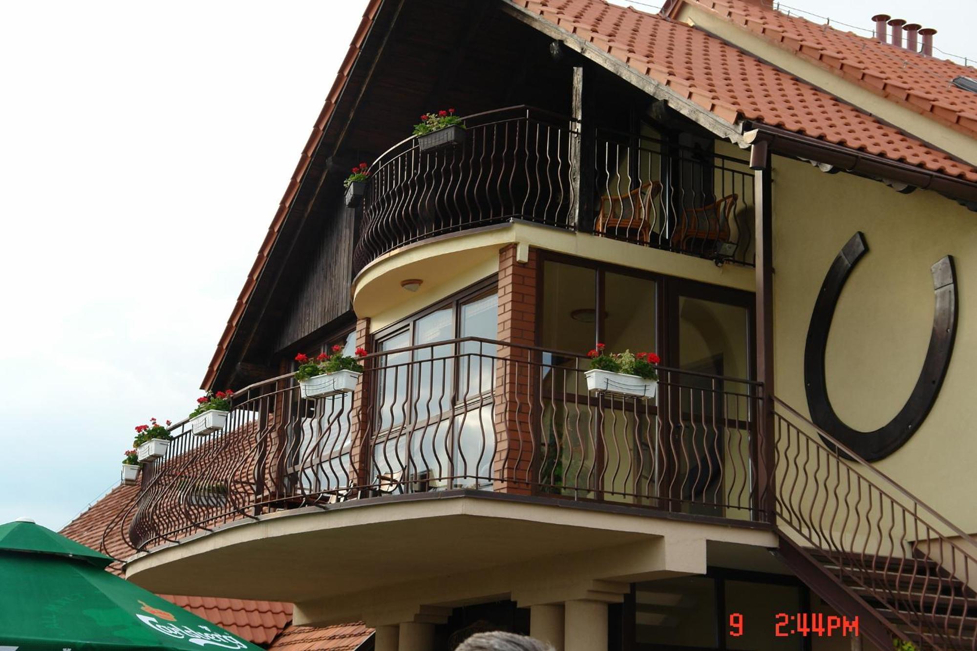 Villa Podkowa Modliszów Exterior foto