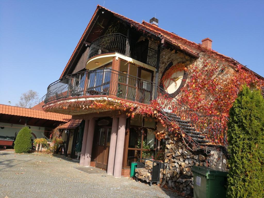 Villa Podkowa Modliszów Exterior foto